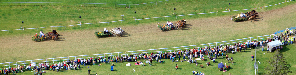 Saignelégier, course du marché-concours - JU